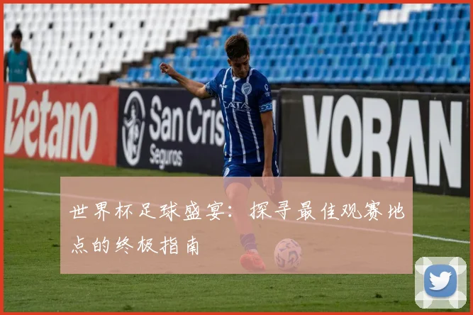 世界杯足球盛宴:探寻最佳观赛地点的终极指南